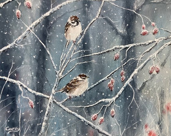 Sparrow’s in winter