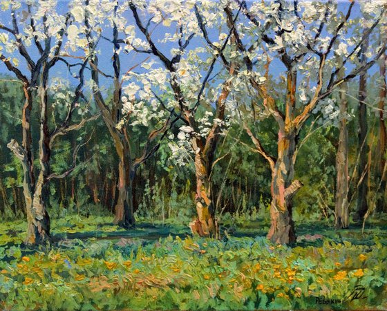 Blooming apple and pear trees. Original signed landscape