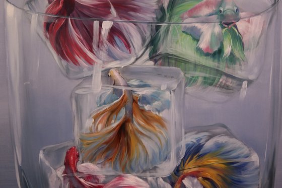"Aquarium on Ice"