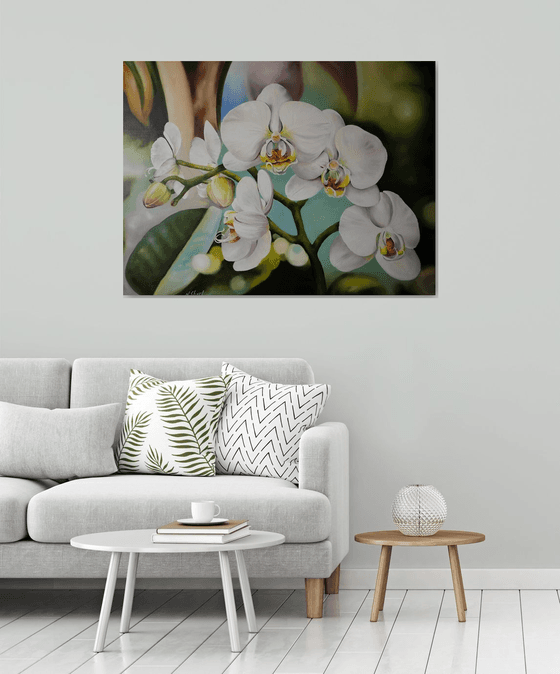 White Orchids Floral