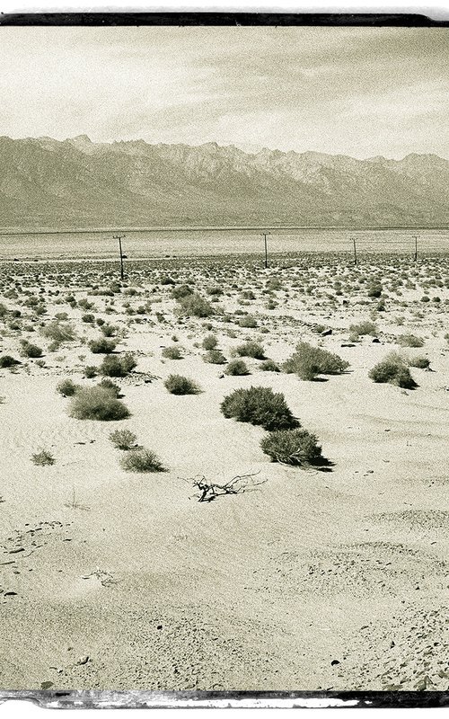 Desert Drive, California by Heike Bohnstengel