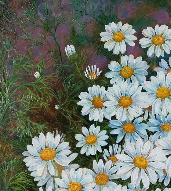 Daisies.