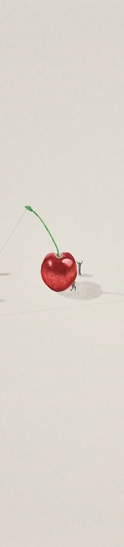 Cherry Pickers by Daniel Shipton