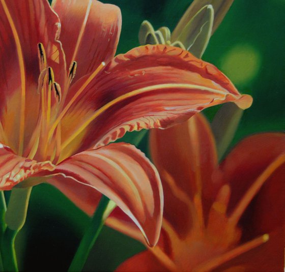 Hemerocalis, Flower painting