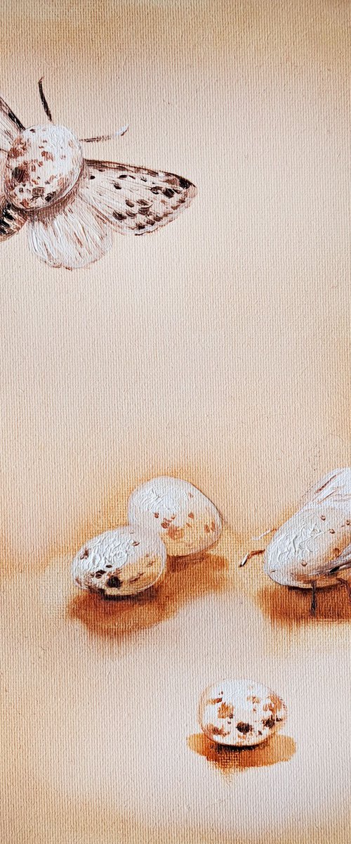 Birth Wings by Nataly Derevyanko