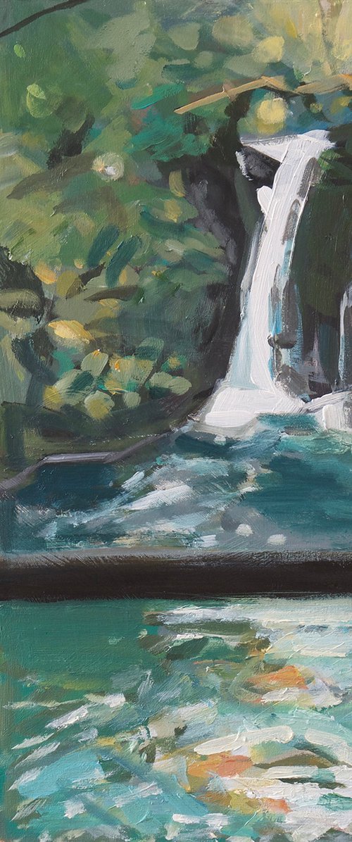 Rydal Falls by Martin Evans
