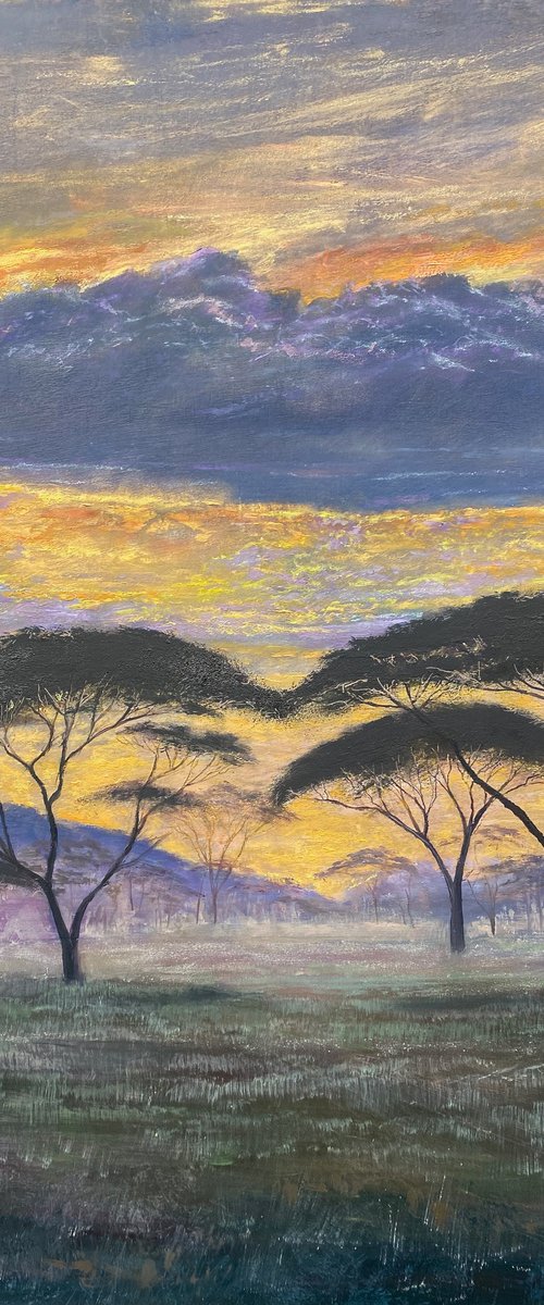 Savannah Sunset by Simon Jones