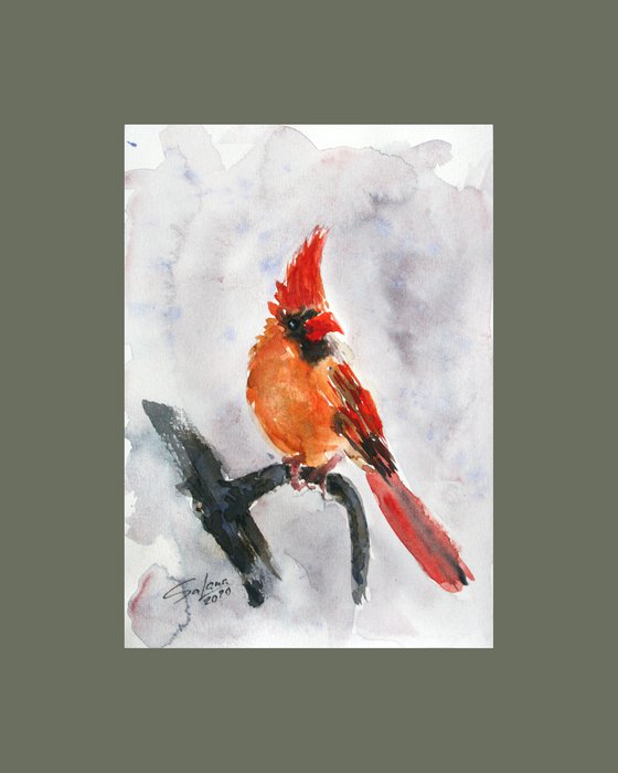 Cardinal V - Bird portrait /  ORIGINAL PAINTING