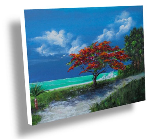 Flamboyan Tree - acrylic original painting on stretched canvas