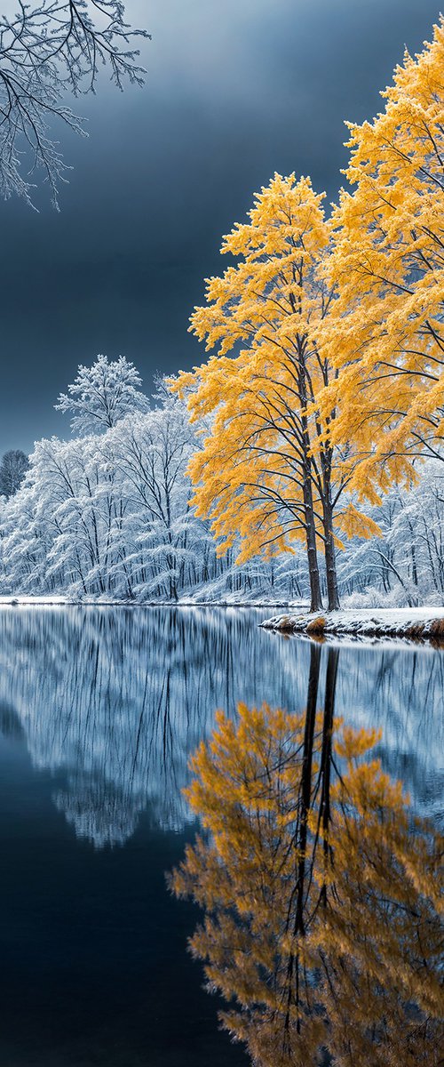 Winter Trees Reflection 3 by MICHAEL FILONOW