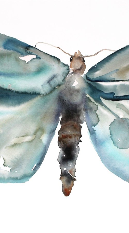 Moth Study No. 2 by Elizabeth Becker