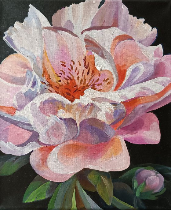 Playful Peony