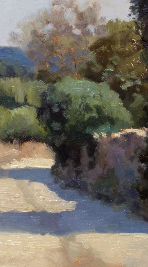 Path near Bedoin by Pascal Giroud