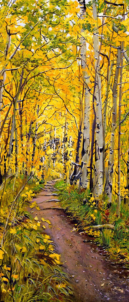 Kenosha to Breckenridge Trail by Daniel Brian Fishback