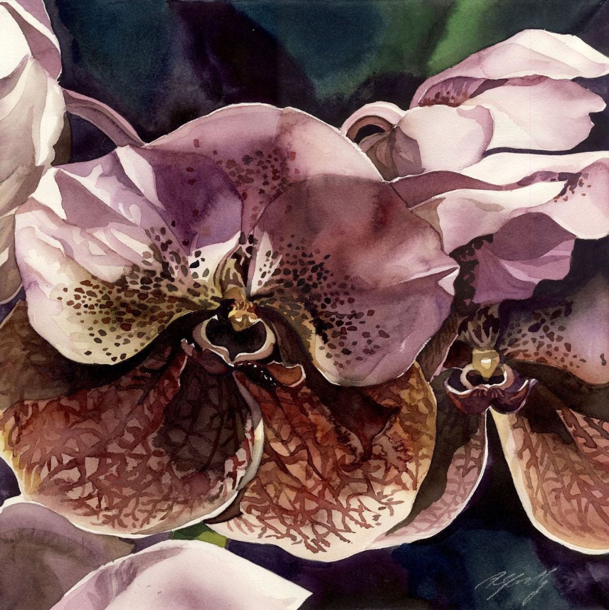 Download vanda orchid watercolor by Alfred Ng | Artfinder