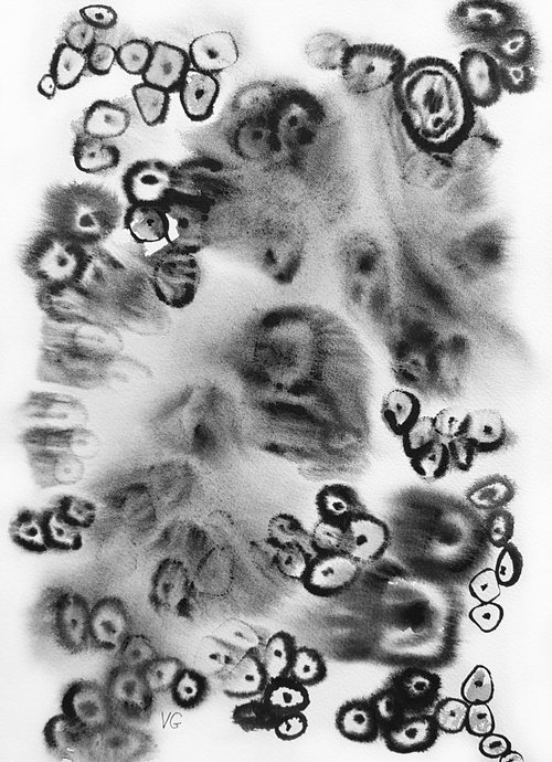 Cellular formations 2 by Viktoriya Gorokhova