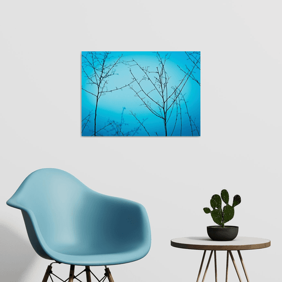 Twilight in the outdoors | Limited Edition Fine Art Print 1 of 10 | 60 x 40 cm