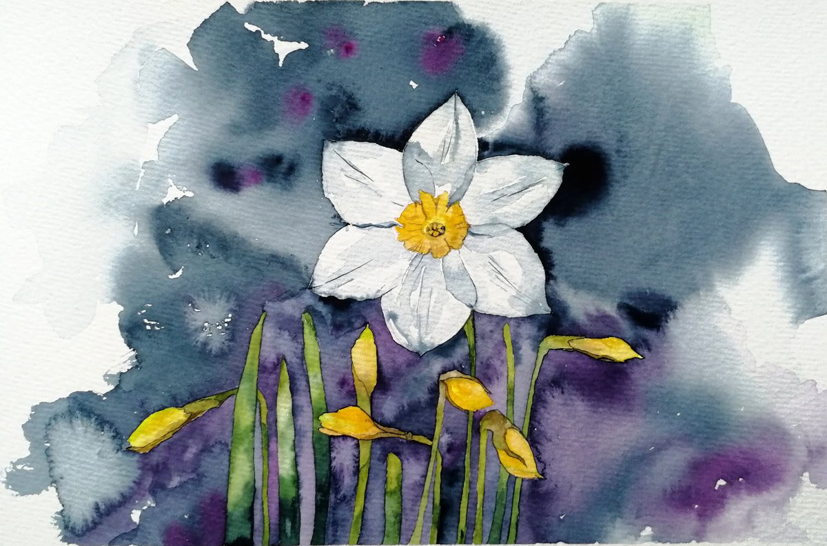 Daffodils by Marina Zhukova