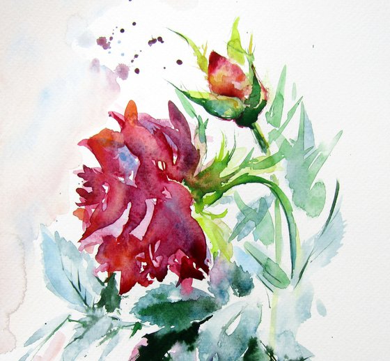 Rose