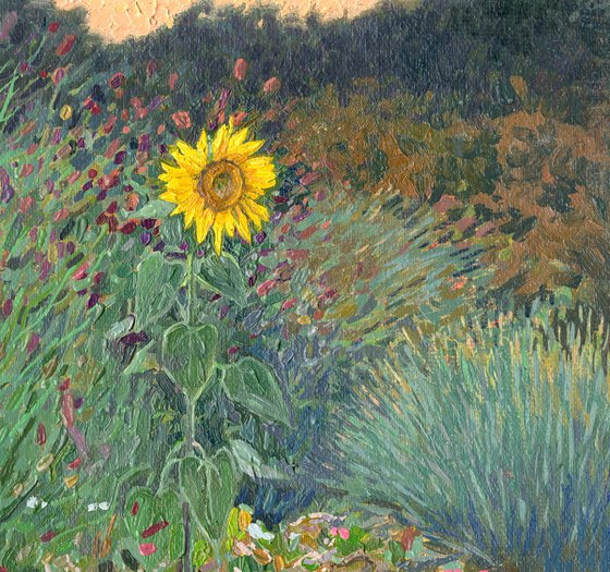 Flowers and Sunflower
