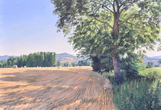 After the Harvest, Morning Light