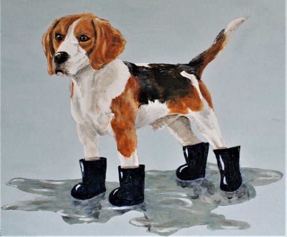 Beagles love their Boots!'