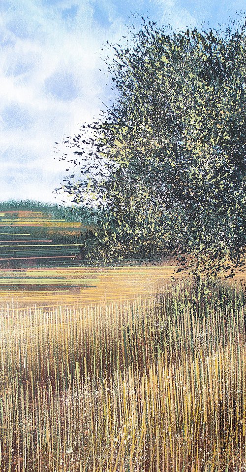 Meadow In Late Summer 2 by Marc Todd
