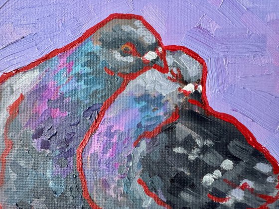 Pigeons in love