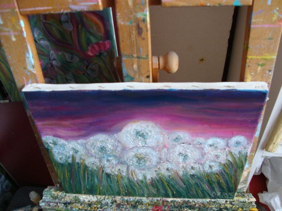 Field of dandelions