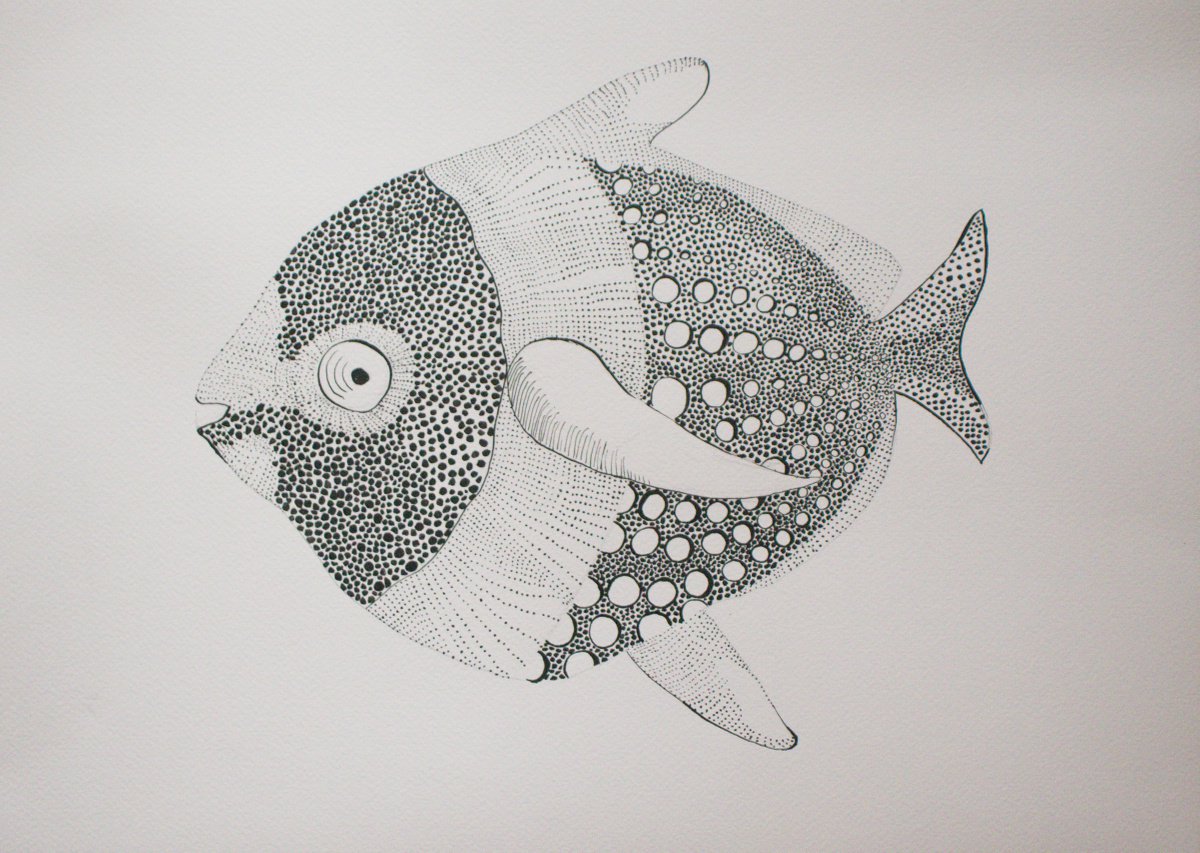 Animal Ink Drawing By Evgeniq Ivanova, 20 X 14, Fish Ii, Original Artwork
