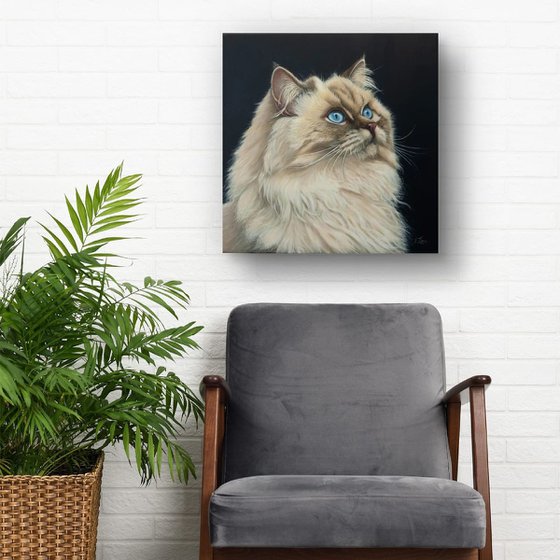 Gaze Into the Infinite — Siamese Cat Portrait