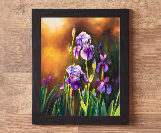 Purple iris flowers in a sunset meadow