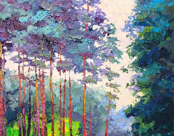 Forest road
