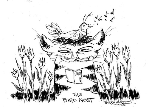 The Birds Nest by Ben De Soto