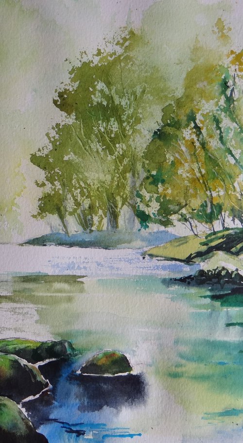 River Derwent, Borrowdale by Jane Ward