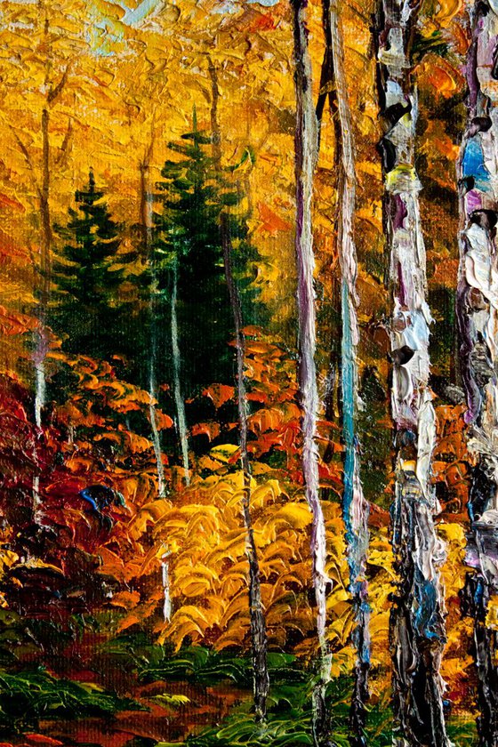 Birches in the autumn forest