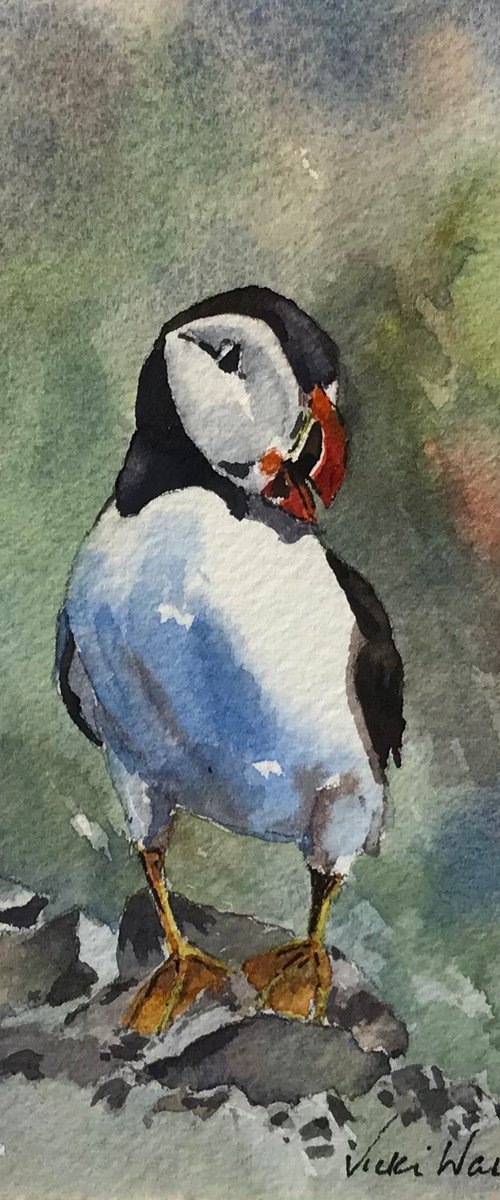 Puffin by Vicki Washbourne