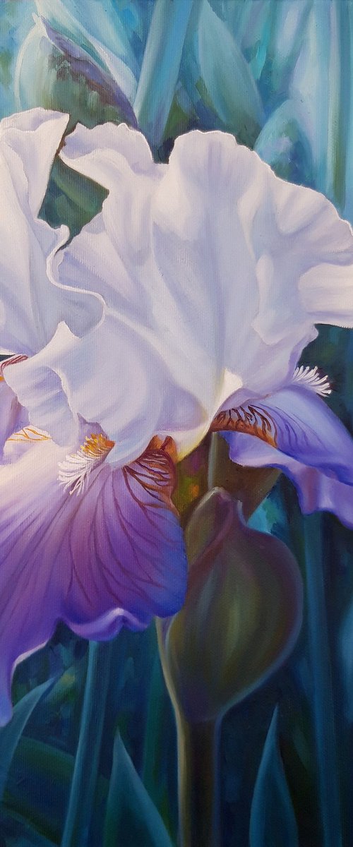 Spring iris by Anna Steshenko