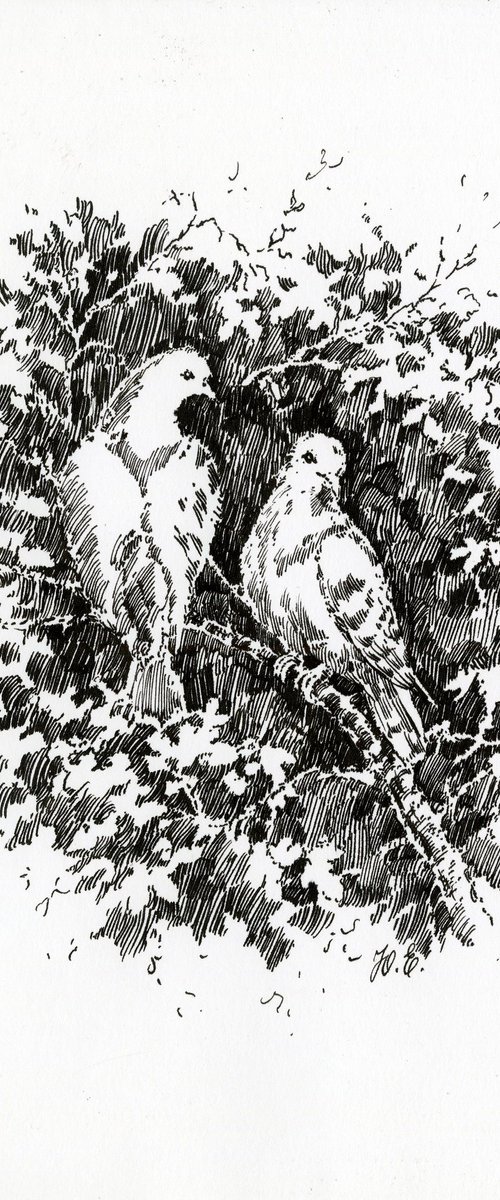 Doves on a Branch by Yulia Evsyukova
