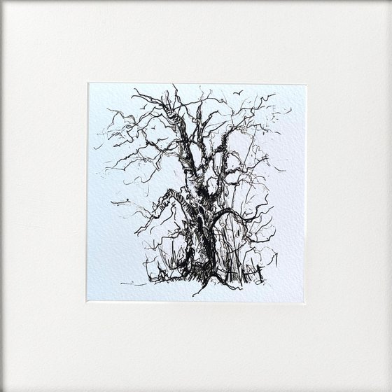 Monochrome - One Tree framed