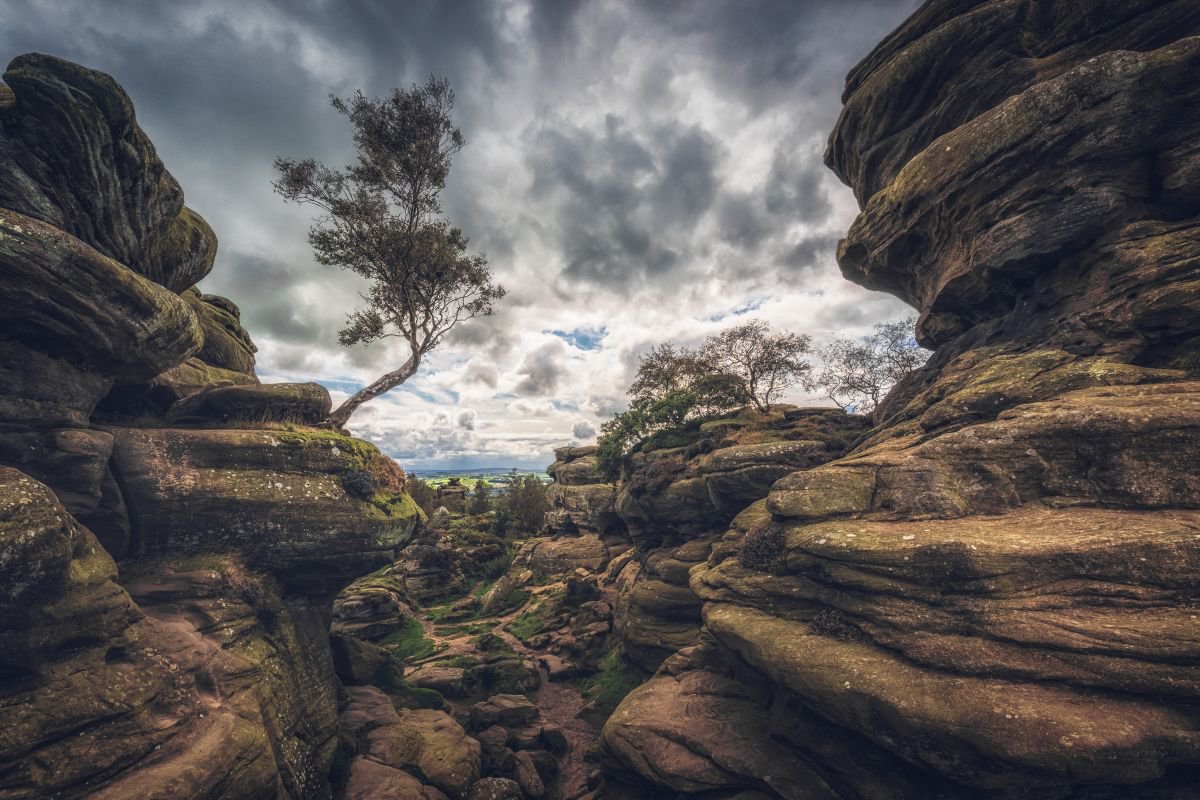 Brimham rocks in the Yorkshire dales England UK by Paul Nash