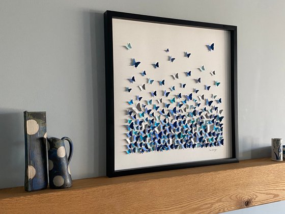 Butterflies - a study in blue