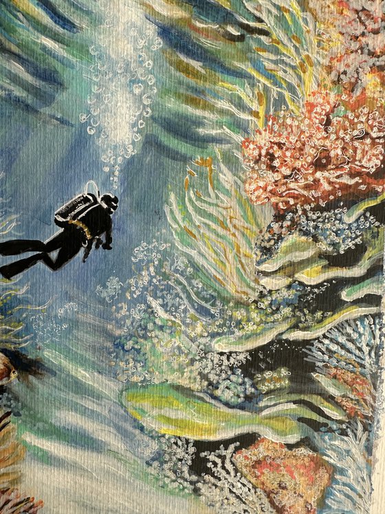 A Scuba Diver and Coral Reef