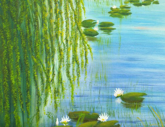 Water lily pond