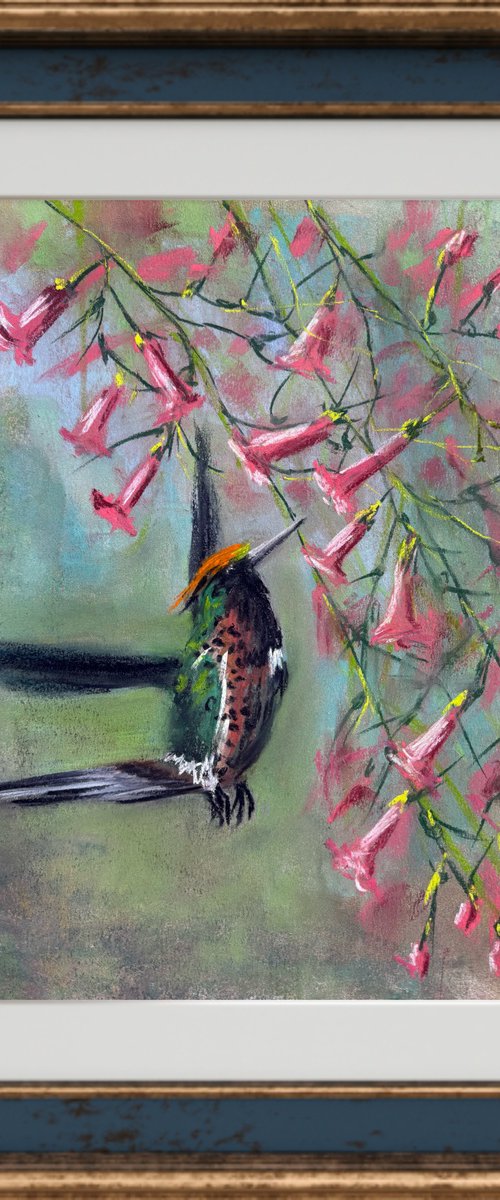 Hummingbirds in flight by Yuliia Sharapova