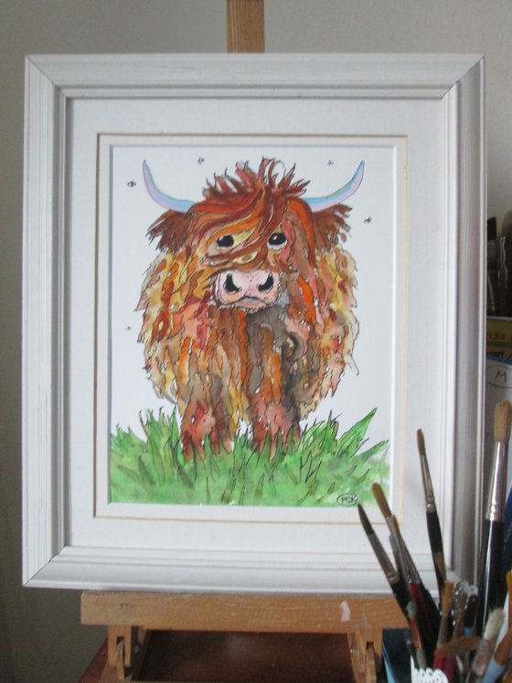 Big Hairy Scottish Highland Cow