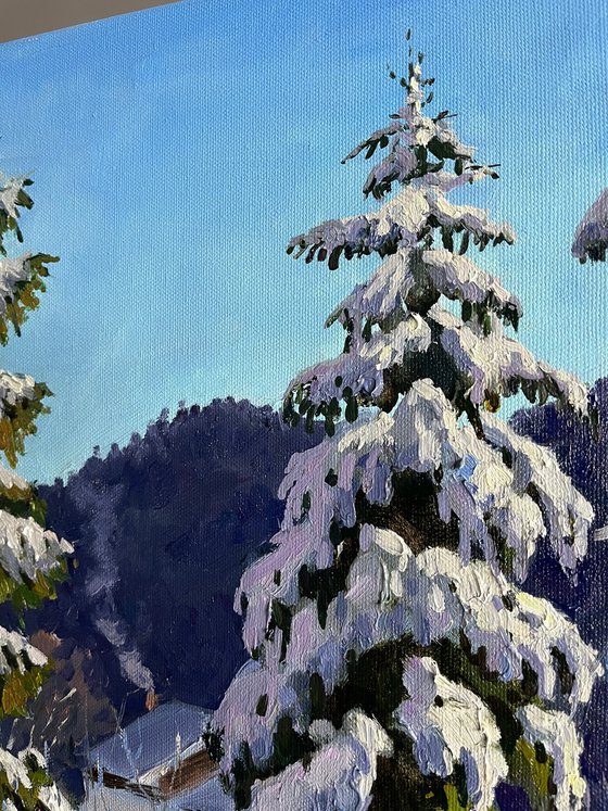 Snowy Pines