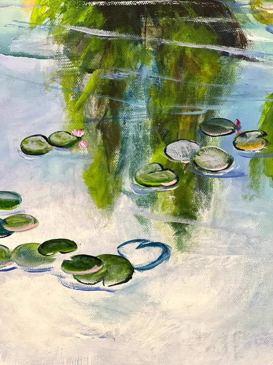 Waterlilies Pond 1