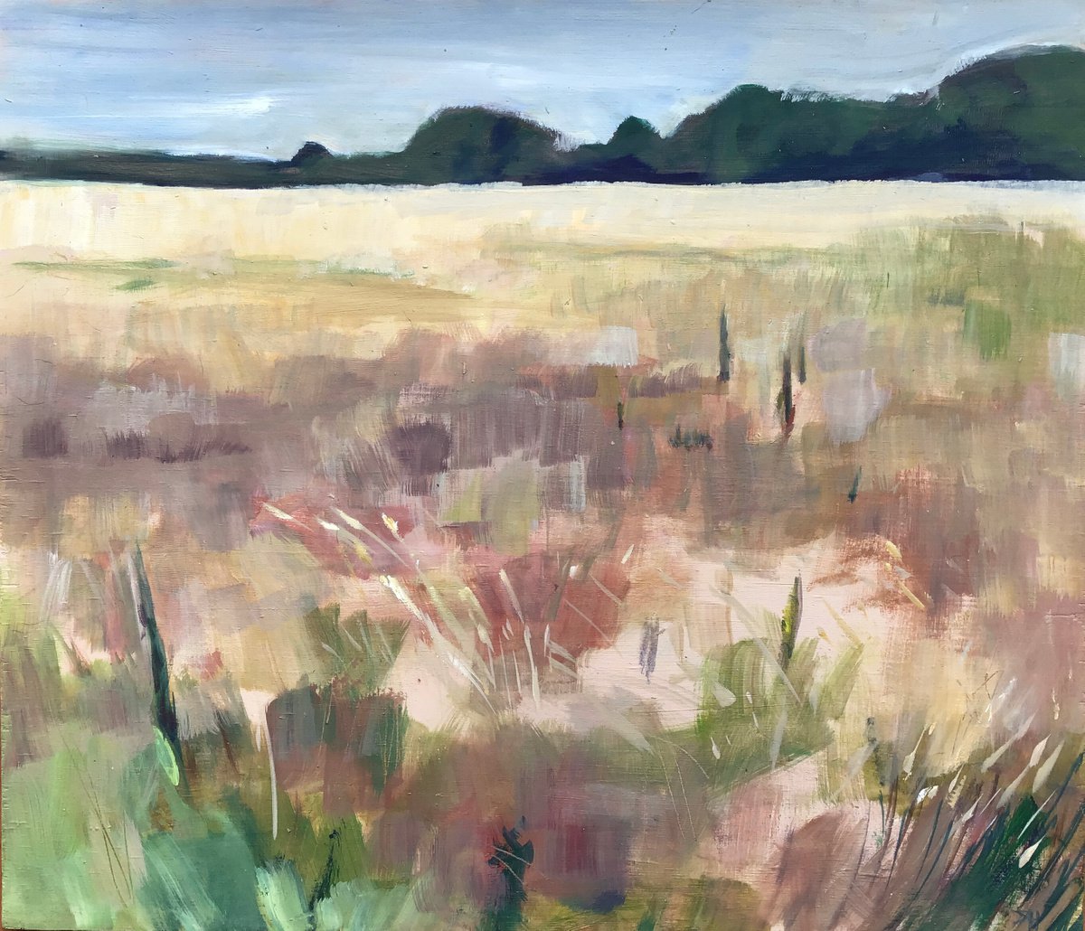 Organic Landscape Oil Painting By Sandra Haney, 25 X 21", Late Summer, Original Artwork