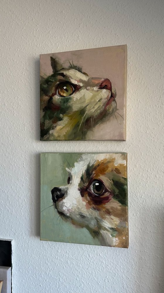Green dog